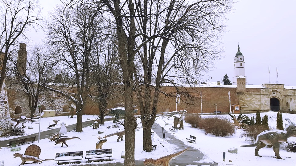 A view on the Clock Tower